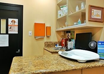 Long Beach Veterinary Clinics Ambassador Long Beach Veterinary Hospital