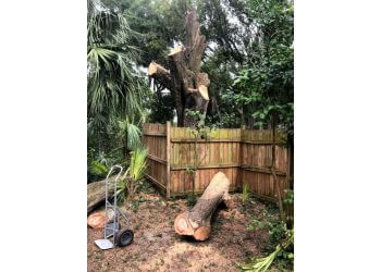 Tampa tree service Ambush Tree Service