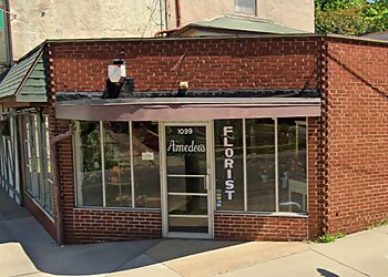 Akron Florists Amedeo's Florist