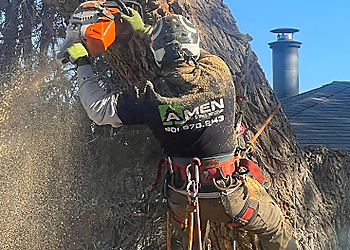 Salt Lake City Tree Services Amen Trees