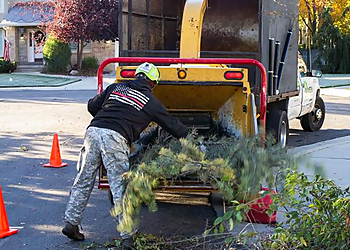 Salt Lake City Tree Services Amen Trees