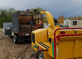 Amen Trees Salt Lake City Tree Services image 1