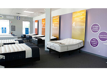 American Mattress Troy Sterling Heights Mattress Stores