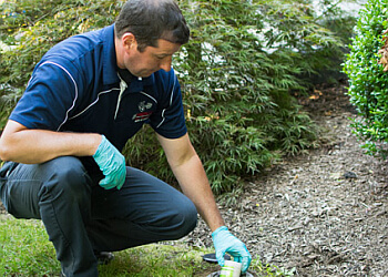 3 Best Pest Control Companies in Springfield, MA - Expert ...