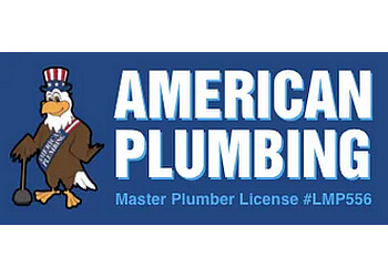 3 Best Plumbers In Baton Rouge, LA - Expert Recommendations