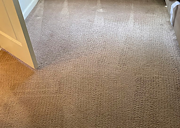 American Pure Clean, LLC - Charleston, SC Carpet Cleaners