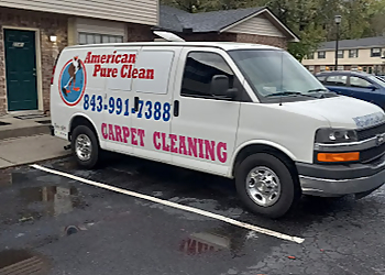 American Pure Clean, LLC American Pure Clean, LLC - Charleston, SC Carpet Cleaners