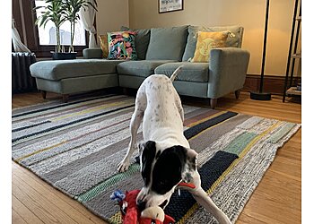 Minneapolis Carpet Cleaners American Rug Laundry