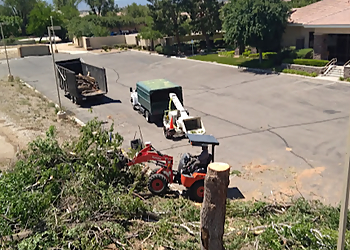 Victorville Tree Services American Tree Company