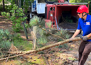 Fayetteville Tree Services American Tree & Stump Removal Inc.