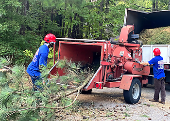 Fayetteville Tree Services American Tree & Stump Removal Inc.