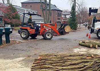 Detroit Tree Services Amezola Tree Service