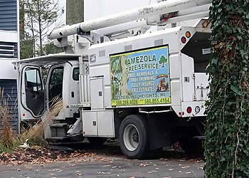 Detroit Tree Services Amezola Tree Service