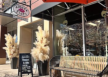 Denver Florists Amore Fiori Flowers and Gifts