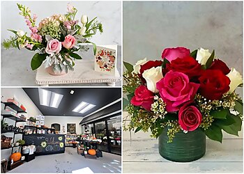 Denver Florists Amore Fiori Flowers and Gifts