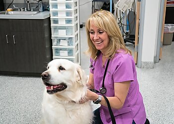 Anaheim Veterinary Clinics Anaheim Hills Pet Clinic