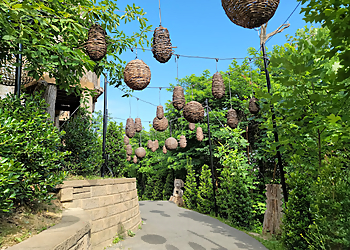 Knoxville Amusement Parks Anakeesta