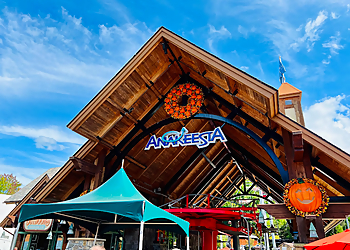 Anakeesta Knoxville Amusement Parks image 1