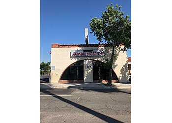 Anchor Animal Hospital Anaheim Veterinary Clinics image 1