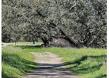 Sacramento Hiking Trails Ancil Hoffman Park