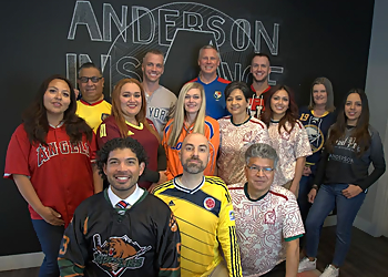 Salt Lake City Insurance Agents Anderson Insurance Group