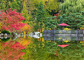 Rockford Places To See Anderson Japanese Gardens