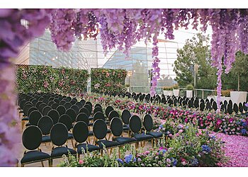 Las Vegas Wedding Planners Andrea Eppolito