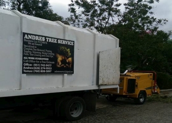 Riverside tree service Andres Tree Services