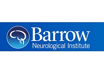 Gilbert Neurosurgeons Andrew K. Metzger, MD