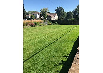 Minneapolis Lawn Care Services Andrew's Lawn and Snow