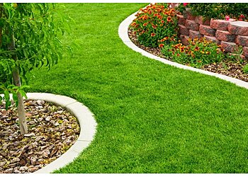 Minneapolis Lawn Care Services Andrew's Lawn and Snow