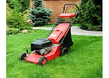 Andrew's Lawn and Snow Minneapolis Lawn Care Services image 1