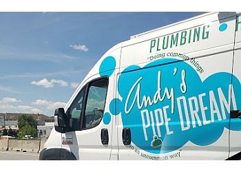 Pipe dream of payment plumbers springs a leak