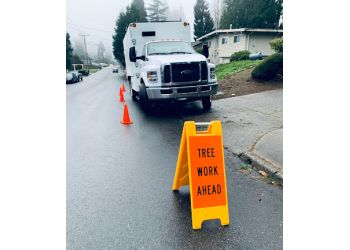 Andy's Tree Services Inc. Bellevue Tree Services