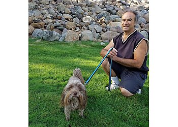 Reno Dog Walkers Angel Pet Sitting