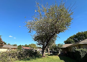 Garland Tree Services Angel Tree Service