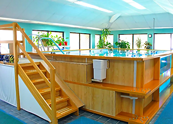 Hampton Physical Therapists Angelo L. Suggs, PT - PENINSULA PHYSICAL THERAPY & ASSOCIATES, INC