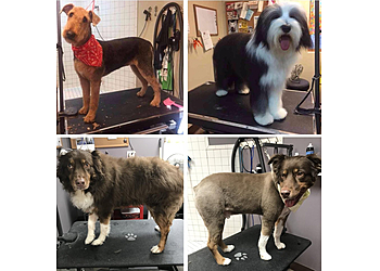 Kansas City Pet Grooming Ani-Pals Pet Resort