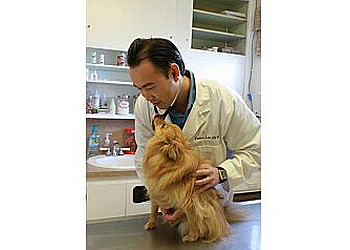Vallejo Veterinary Clinics Animal Advocates Veterinary Hospital