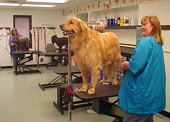 Cincinnati Pet Grooming Animal Ark Pet Resort