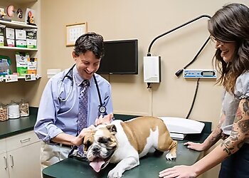 Winston Salem Veterinary Clinics Animal Ark Veterinary Hospital