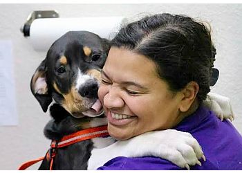 Waco Veterinary Clinics Animal Birth Control Clinic