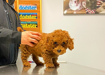 Salem Veterinary Clinics Animal Care Center Veterinary Clinic