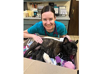 Huntsville Veterinary Clinics Animal Care Clinic