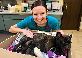 Animal Care Clinic & Hospital - Huntsville, AL Veterinary Clinics - Doctor With Patient Image