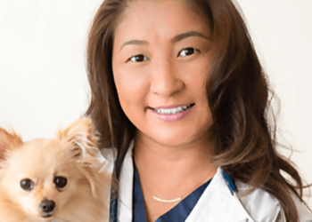 Animal Care Hospital of Walnut Creek - Walnut Creek, CA Veterinary Clinics - Doctor With Patient Image