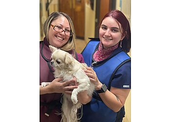 San Bernardino Veterinary Clinics Animal Care Wellness Center