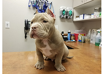 Grand Prairie Veterinary Clinics Animal Clinic of Grand Prairie