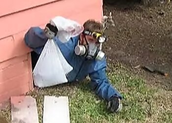 Austin Animal Removal Animal Control Experts