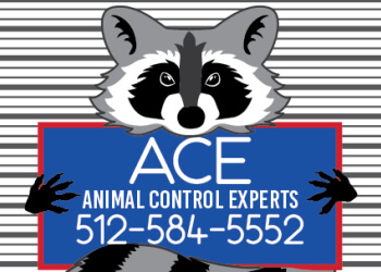 Animal Control Experts